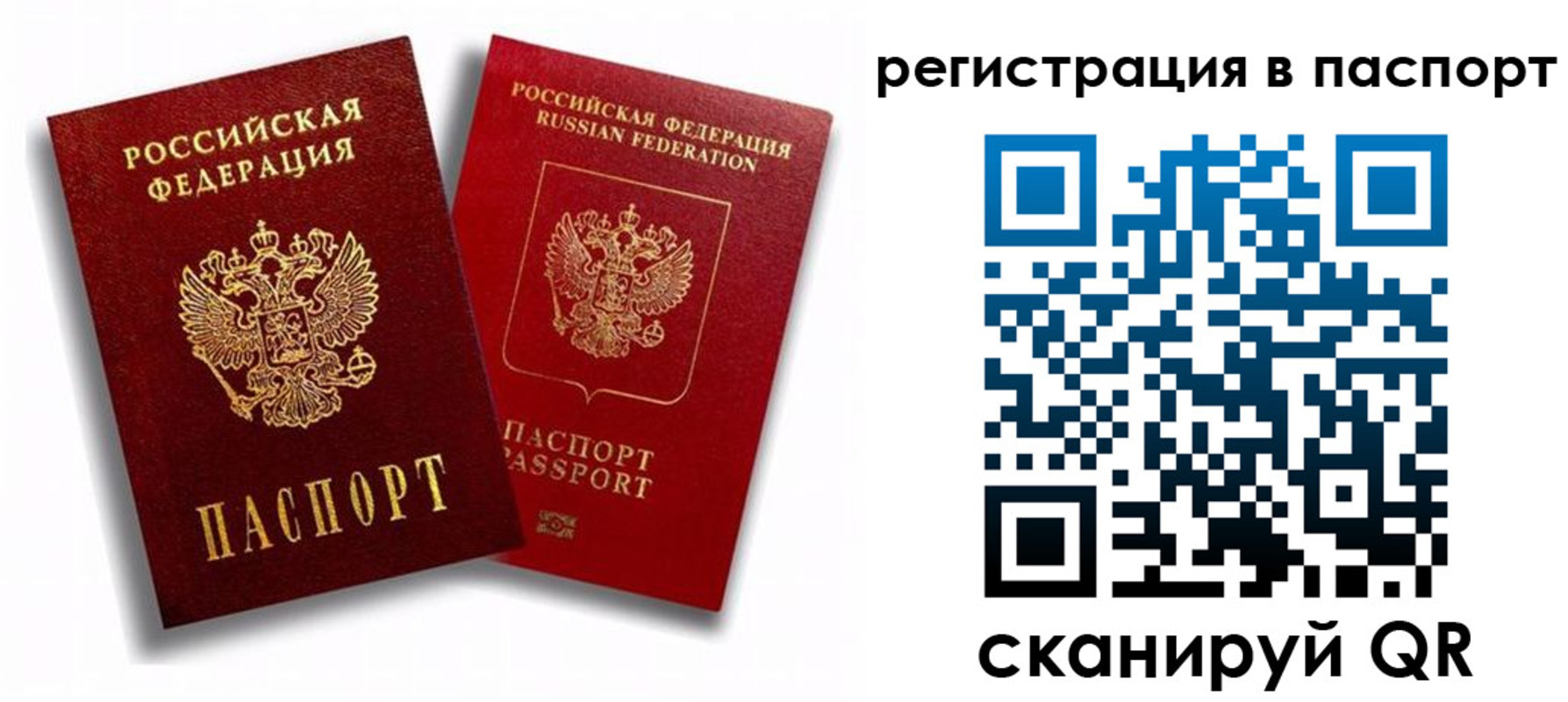 прописка 2025 в Сальске